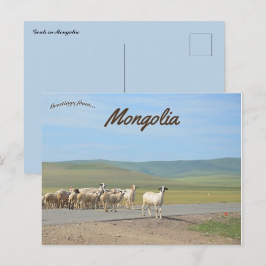 Geitenstapel in Mongolië Briefkaart (Voorkant / Achterkant)