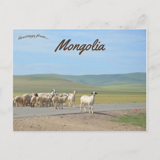 Geitenstapel in Mongolië Briefkaart (Voorkant)