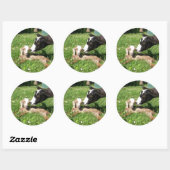 Geitenstickers set van 6 ronde sticker (Vel)