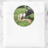 Geitenstickers set van 6 ronde sticker (Tas)