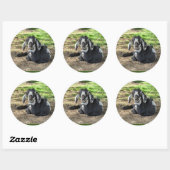 Geitenstickers set van 6 ronde sticker (Vel)