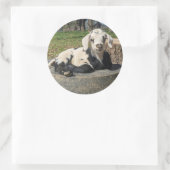 Geitenstickers set van 6 ronde sticker (Tas)