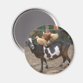 Geitentaxi Magneet (Voorkant / Achterkant)