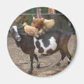 Geitentaxi Magneet (Voorkant)