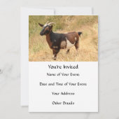 Geitenvlees Afbeelding Kaart (Voorkant)