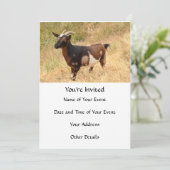 Geitenvlees Afbeelding Kaart (Staand voorkant)