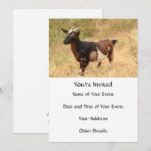 Geitenvlees Afbeelding Kaart (Voorkant / Achterkant)