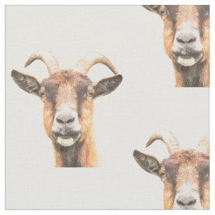 Geitenvlees Boerderij Dierportret Stof