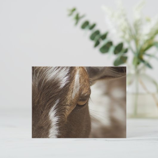 Geitenvlees Briefkaart (Staand voorkant)