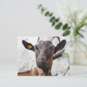 Geitenvlees Briefkaart (Staand voorkant)