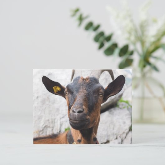 Geitenvlees Briefkaart (Staand voorkant)