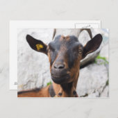 Geitenvlees Briefkaart (Voorkant / Achterkant)