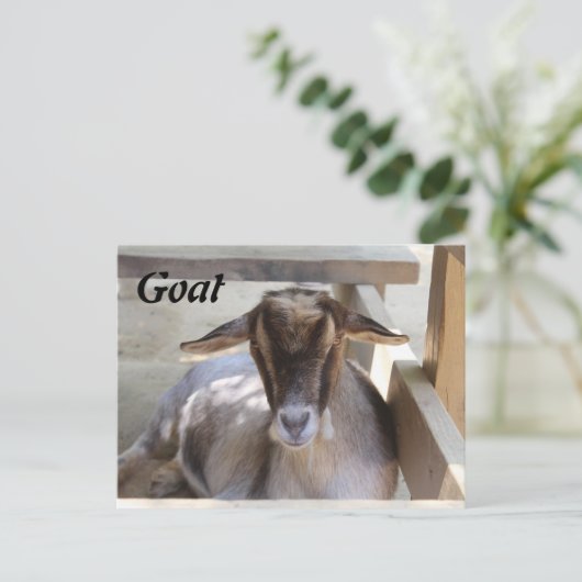 Geitenvlees Briefkaart (Staand voorkant)