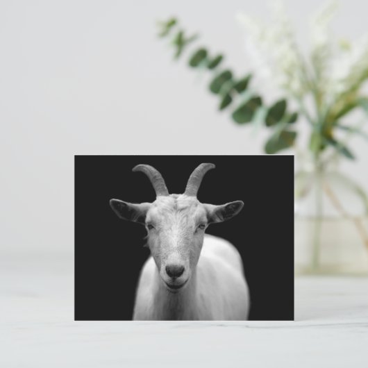 Geitenvlees Briefkaart (Staand voorkant)