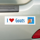 Geitenvlees Bumpersticker (Op auto)