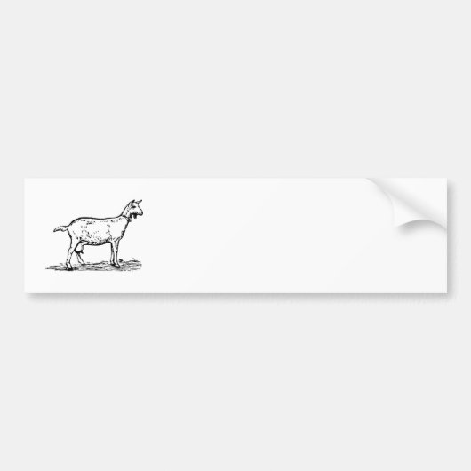 Geitenvlees Bumpersticker (Voorkant)