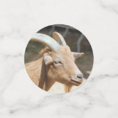 Geitenvlees Confetti (Kleine voorkant)