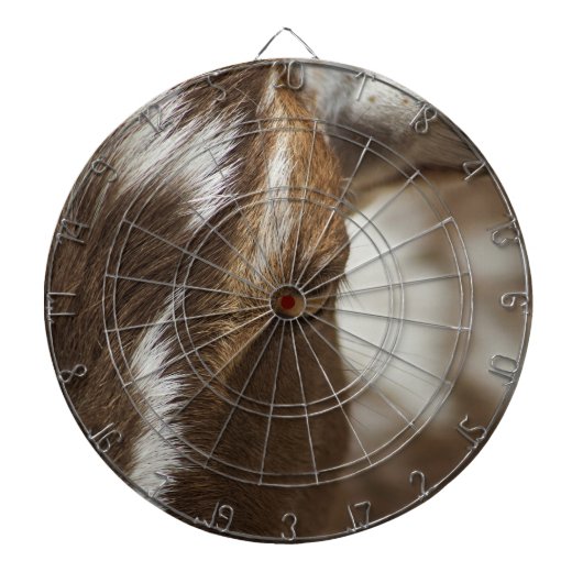 Geitenvlees Dartbord (Voorkant)