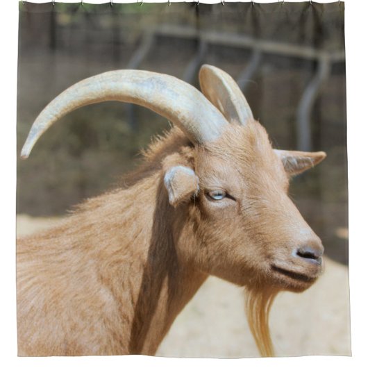 Geitenvlees Douchegordijn (Voorkant)