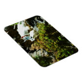 Geitenvlees en Abstract impressionisme in berggebi Magneet (Rechterzijde)