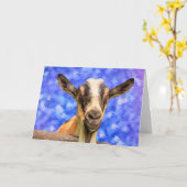 Geitenvlees en sterren kaart (Gele Bloem)