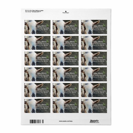 Geitenvlees Etiket (Full Sheet)