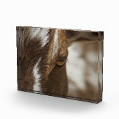 Geitenvlees Fotoblokken (Rechts)