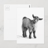 Geitenvlees G097 Briefkaart (Voorkant / Achterkant)