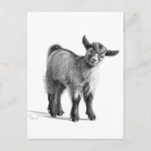 Geitenvlees G097 Briefkaart
