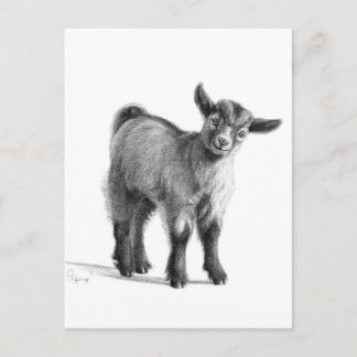 Geitenvlees G097 Briefkaart