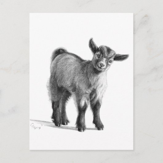 Geitenvlees G097 Briefkaart (Voorkant)