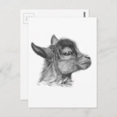 Geitenvlees G099 Briefkaart (Voorkant / Achterkant)