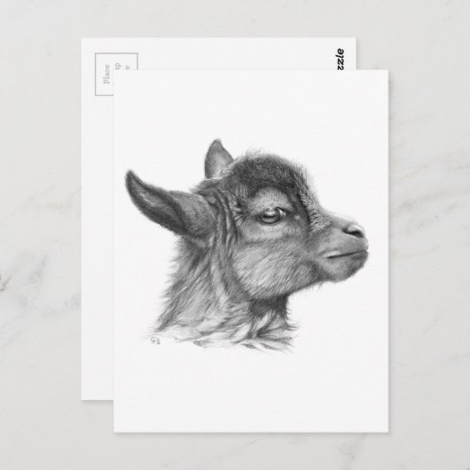 Geitenvlees G099 Briefkaart (Voorkant / Achterkant)