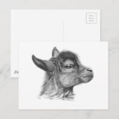 Geitenvlees G099 Briefkaart (Voorkant / Achterkant)