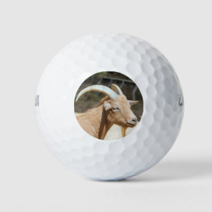 Geitenvlees Golfballen