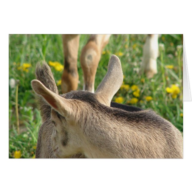 Geitenvlees Kind (Voorkant Horizontaal)