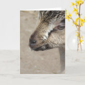 Geitenvlees Kind Kaart (Gele Bloem)