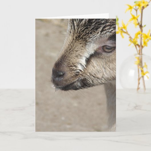 Geitenvlees Kind Kaart (Gele Bloem)