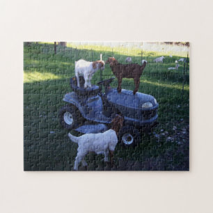 Geitenvlees Kinder als mower Legpuzzel