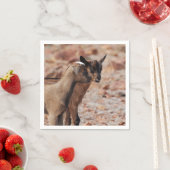 Geitenvlees Kinder Servetten (Insitu)