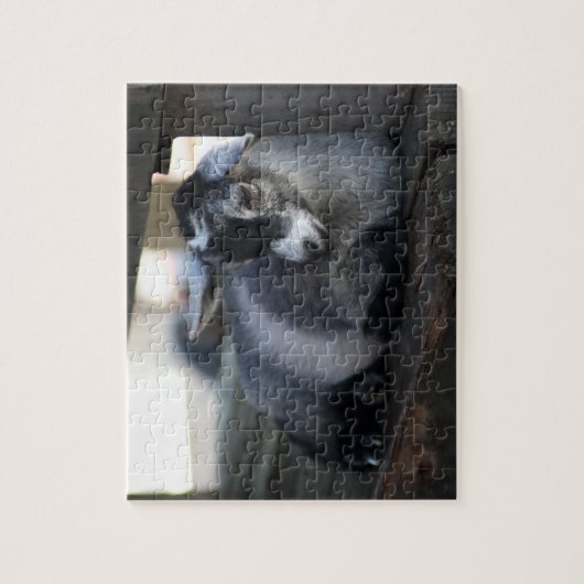 Geitenvlees Legpuzzel (Verticaal)