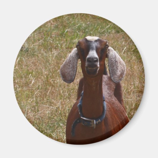 Geitenvlees Magneet (Voorkant)