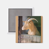 Geitenvlees Magneet (Voorkant / Achterkant)