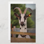 Geitenvlees met horens die tegen het hek staan briefpapier (Voorkant / Achterkant)