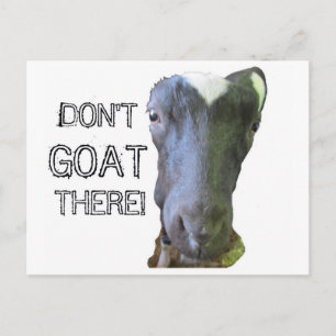 Geitenvlees "NIET GOAT ER"-Briefkaart Briefkaart