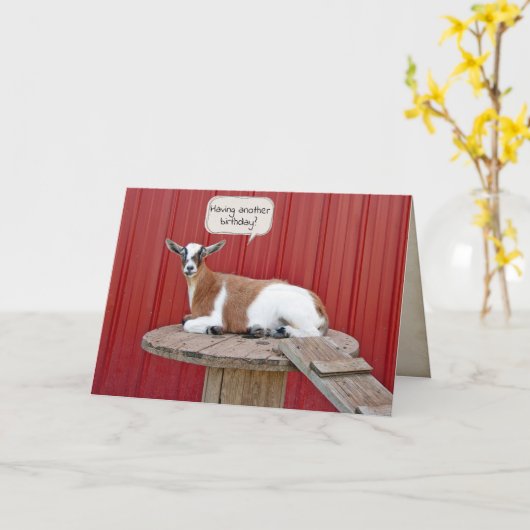 Geitenvlees op zwembad kaart (Gele Bloem)