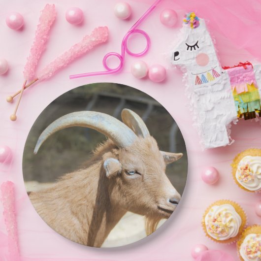 Geitenvlees Papieren Bordje (Feest)