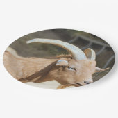 Geitenvlees Papieren Bordje (Gekanteld)