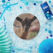 Geitenvlees Papieren Bordje (Feest)