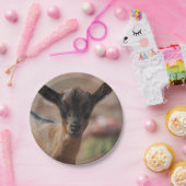 Geitenvlees Papieren Bordje (Feest)